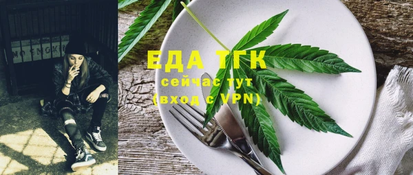 дживик Корсаков