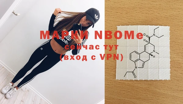 индика Кукмор