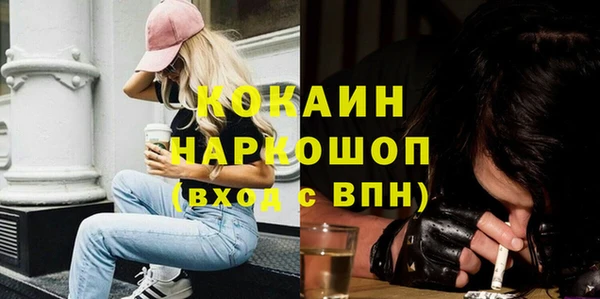 индика Кукмор