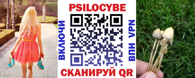 МЕГА зеркало Лесосибирск Галлюциногенные грибы Psilocybine cubensis закладки