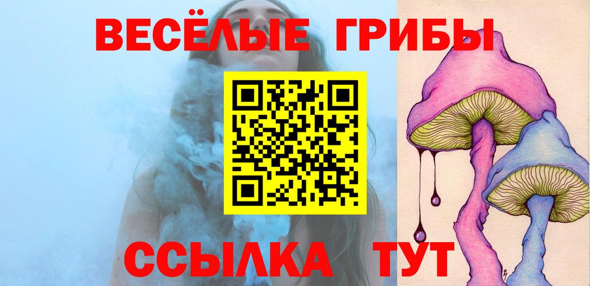 Лесосибирск  Галлюциногенные грибы прущие грибы  купить наркотик  Вход с VPN 